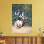 Stier Rocky Mountain Elk Canvas Afdruk (Insitu (Woonkamer))