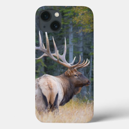 Stier Rocky Mountain Elk Case-Mate iPhone Case (Achterkant)