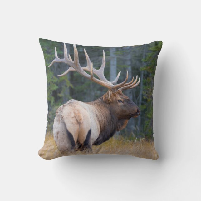 Stier Rocky Mountain Elk Kussen (Voorkant)