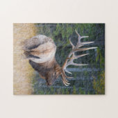 Stier Rocky Mountain Elk Legpuzzel (Horizontaal)