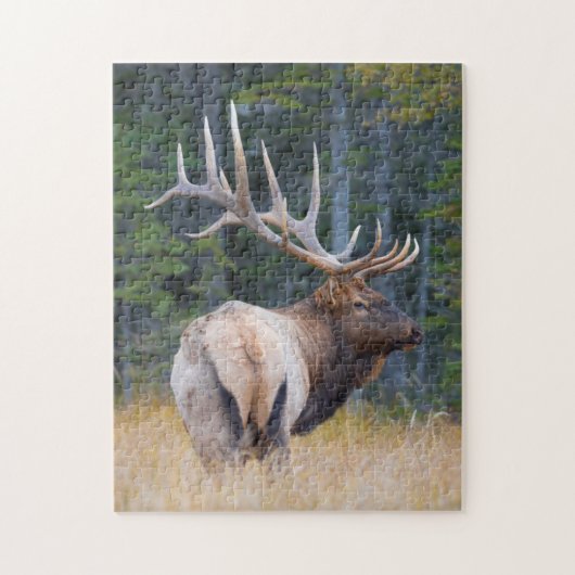 Stier Rocky Mountain Elk Legpuzzel (Verticaal)