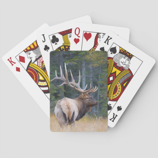 Stier Rocky Mountain Elk Speelkaarten (Achterkant)