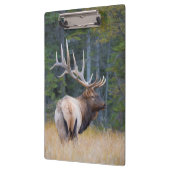 Stier Rocky Mountain-wapiti Klembord (Links)