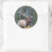 Stier Rocky Mountain-wapiti Ronde Sticker (Tas)