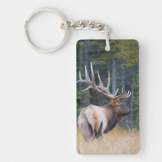 Stier Rocky Mountain-wapiti Sleutelhanger (Voorkant)
