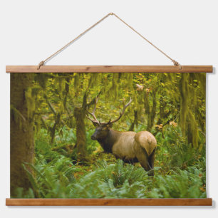 Stier Roosevelt-eland Hangend Wandkleed