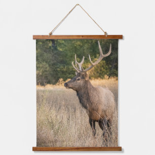 Stier Roosevelt-eland in gras   Staat Washington Hangend Wandkleed