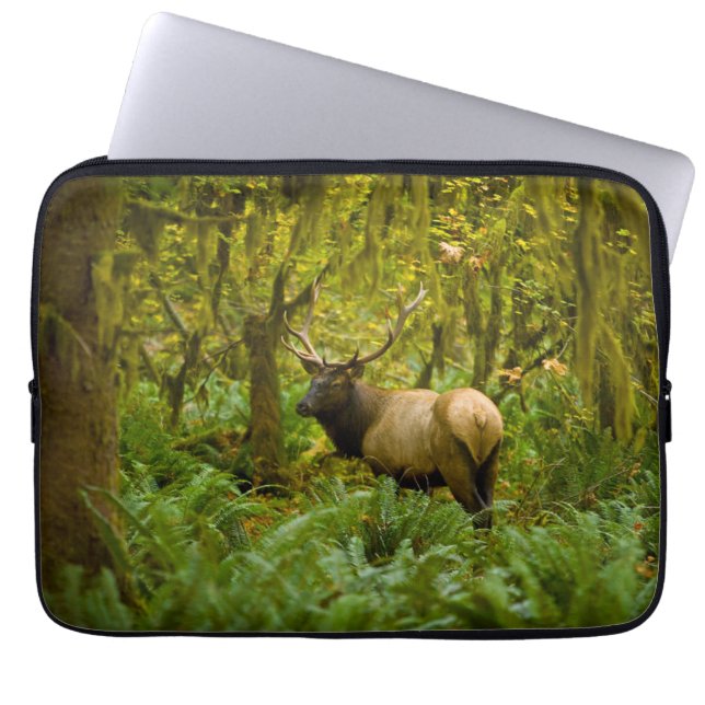 Stier Roosevelt-eland Laptop Sleeve (Voorkant)