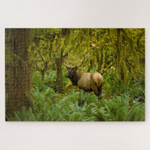 Stier Roosevelt-eland Legpuzzel