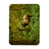 Stier Roosevelt-eland Magneet (Verticaal)