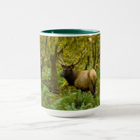 Stier Roosevelt-eland Mok (Midden)