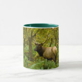 Stier Roosevelt-eland Mok (Midden)