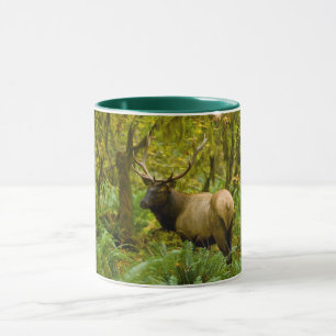 Stier Roosevelt-eland Mok