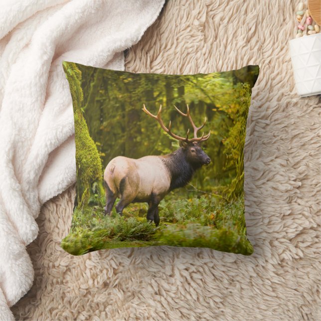 Stier Roosevelt-eland staand in weide Kussen (Deken)