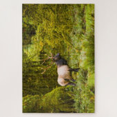 Stier Roosevelt Eland Staand In Weiland Legpuzzel (Verticaal)