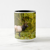 Stier Roosevelt Eland Staand In Weiland Mok (Midden)