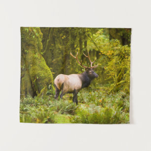 Stier Roosevelt Eland Staand In Weiland Wandkleed