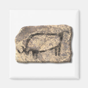 Stier-stenen Magneet