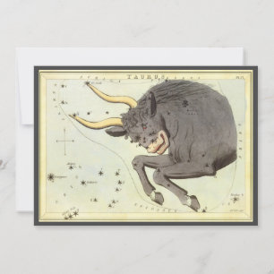 Stier Stier, Antieke Constellatie Urania's Spiegel Kaart
