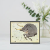 Stier Stier,  sterrenbeeld Urania's Mirror Briefkaart (Staand voorkant)