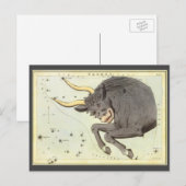 Stier Stier,  sterrenbeeld Urania's Mirror Briefkaart (Voorkant / Achterkant)