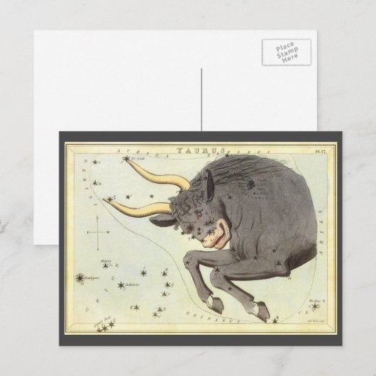 Stier Stier,  sterrenbeeld Urania's Mirror Briefkaart (Voorkant / Achterkant)