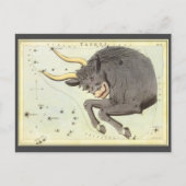 Stier Stier,  sterrenbeeld Urania's Mirror Briefkaart (Voorkant)