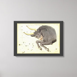 Stier Stier,  sterrenbeeld Urania's Mirror Canvas Afdruk