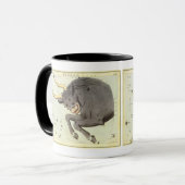 Stier Stier,  sterrenbeeld Urania's Mirror Mok (Voorkant links)