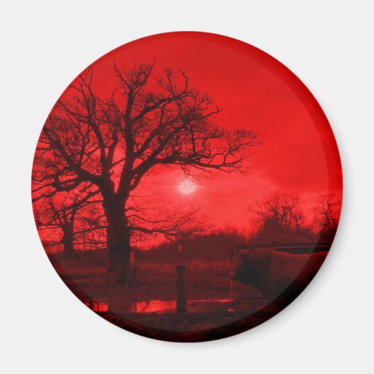 STIEREN MAGNEET (Voorkant)
