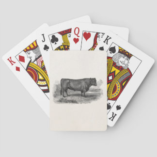 Stieren van de Koe van de vintage Illustratie van Speelkaarten
