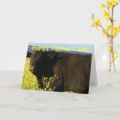 Stieren van het Vee van het Boerderij van de Kaart (Gele Bloem)