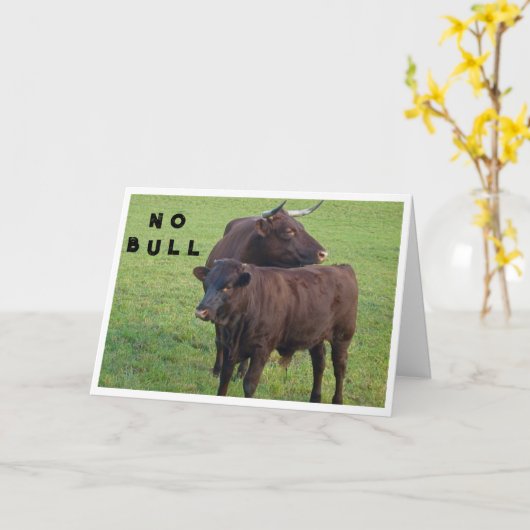 STIEREN ZEGGEN *GEEN STIER* JE KUNT NIET **40** KAART (Gele Bloem)