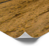 Stierengevechten in Portugal Poster (Hoek)