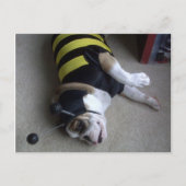 stierenhommel briefkaart (Voorkant)