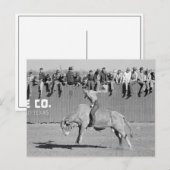 Stierenrijder op rodeo, 1940 briefkaart (Voorkant / Achterkant)