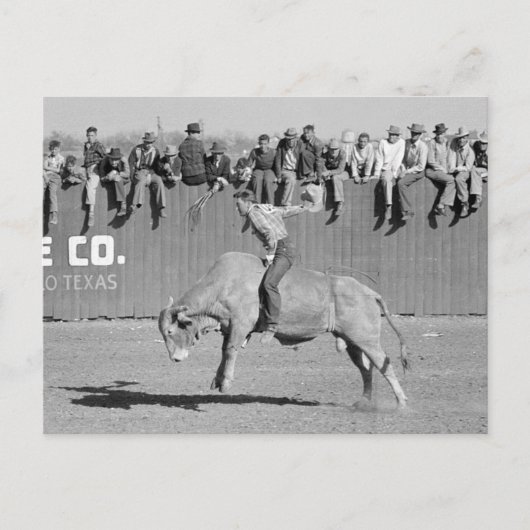 Stierenrijder op rodeo, 1940 briefkaart (Voorkant)