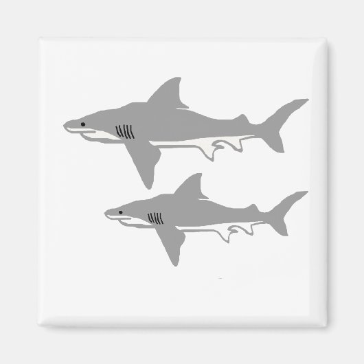 Stierhaaimagneet Magneet (Voorkant)