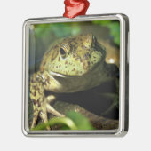 Stierkikker. Metalen Ornament (Links)