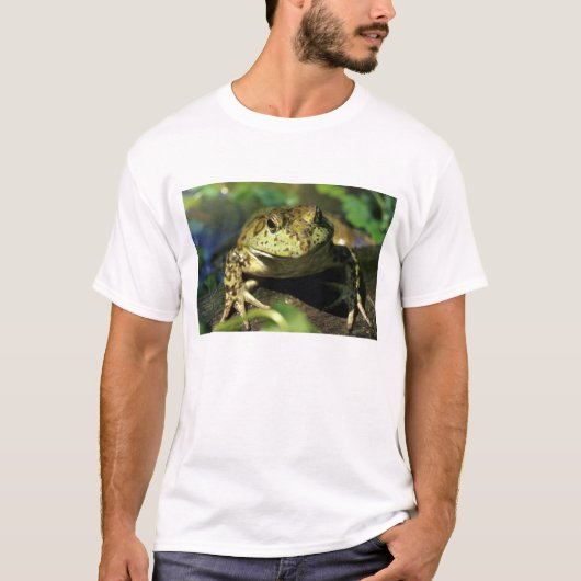 Stierkikker. T-shirt (Voorkant)