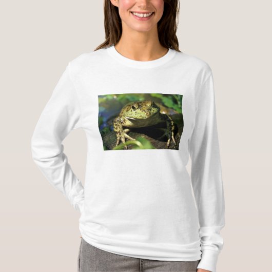 Stierkikker. T-shirt (Voorkant)