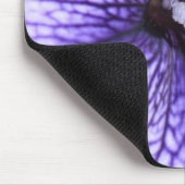 stigma muismat (Hoek)