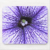 stigma muismat (Voorkant)