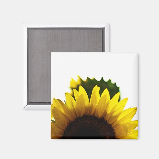 Stijg & Magneet (Voorkant / Achterkant)