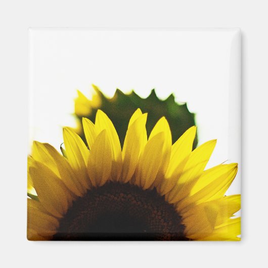 Stijg & Magneet (Voorkant)