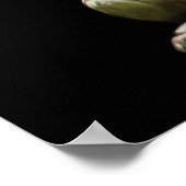 Stijgende boeddha-Poster kleur Poster (Hoek)