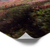 'Stijgende groei' - afdruk op het canvas Poster (Hoek)