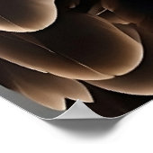 Stijgende Majesteit: De Adelaar in Vlucht Poster (Hoek)