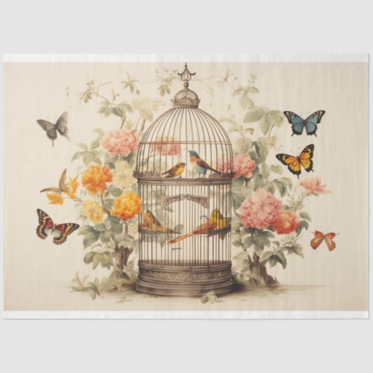 Stijgende schoonheden: vogelkooi decoupage tissuepapier (Voorkant)