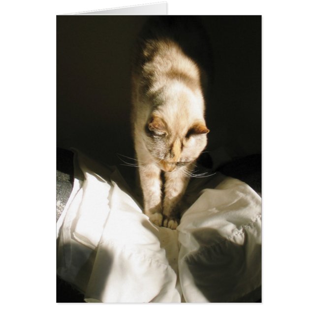 Stijging en schijn (Voorkant)